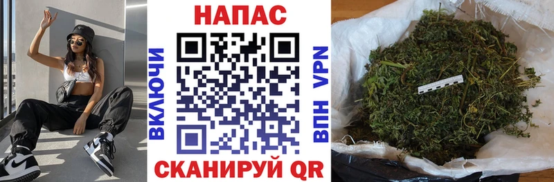 МЕФ Великие Луки