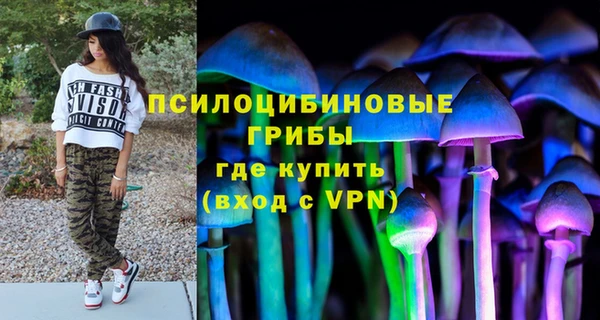 каннабис Богданович