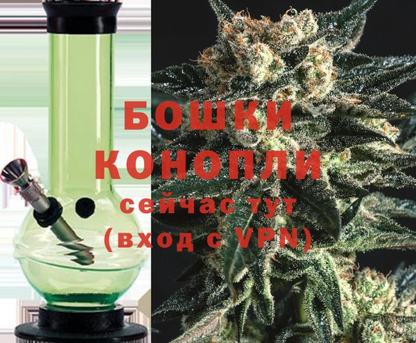 каннабис Богданович