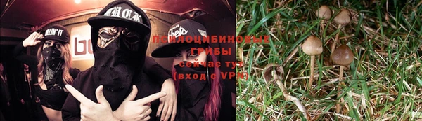 каннабис Богданович