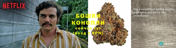 наркотики Белокуриха